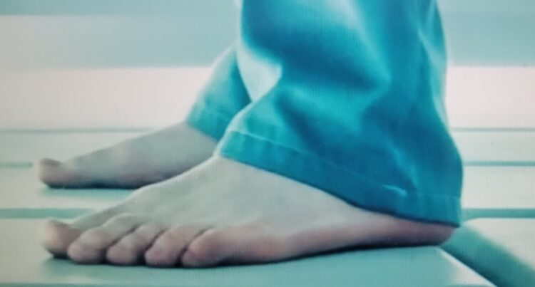 jamie langley feet 2 scaled
