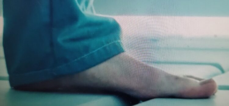 jamie langley feet 4 scaled