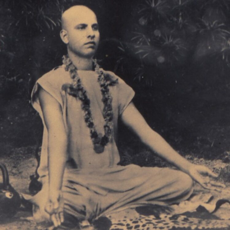 jana schneider feet 6