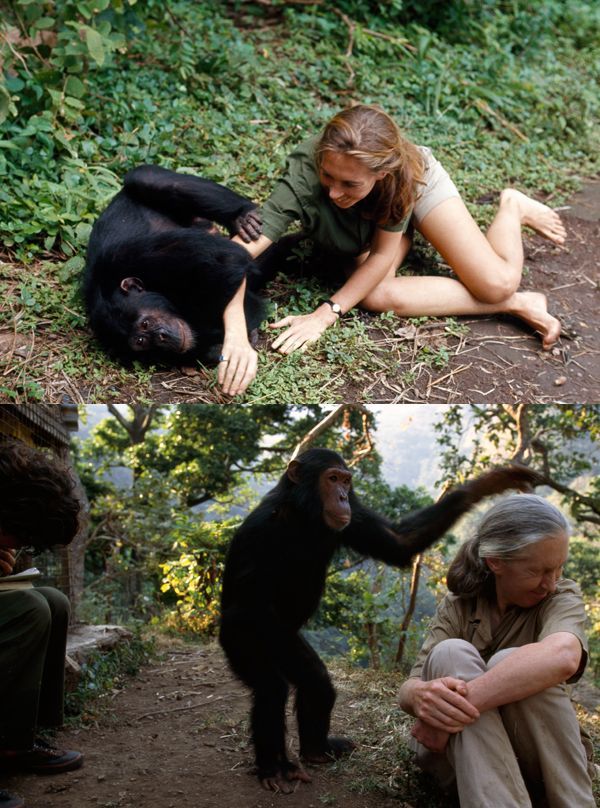 jane goodall feet 1