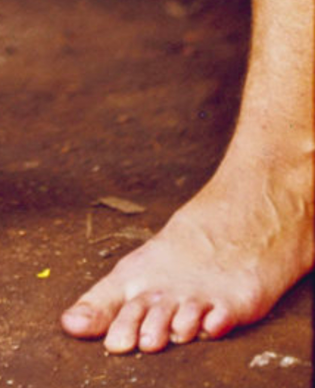 jane goodall feet 2