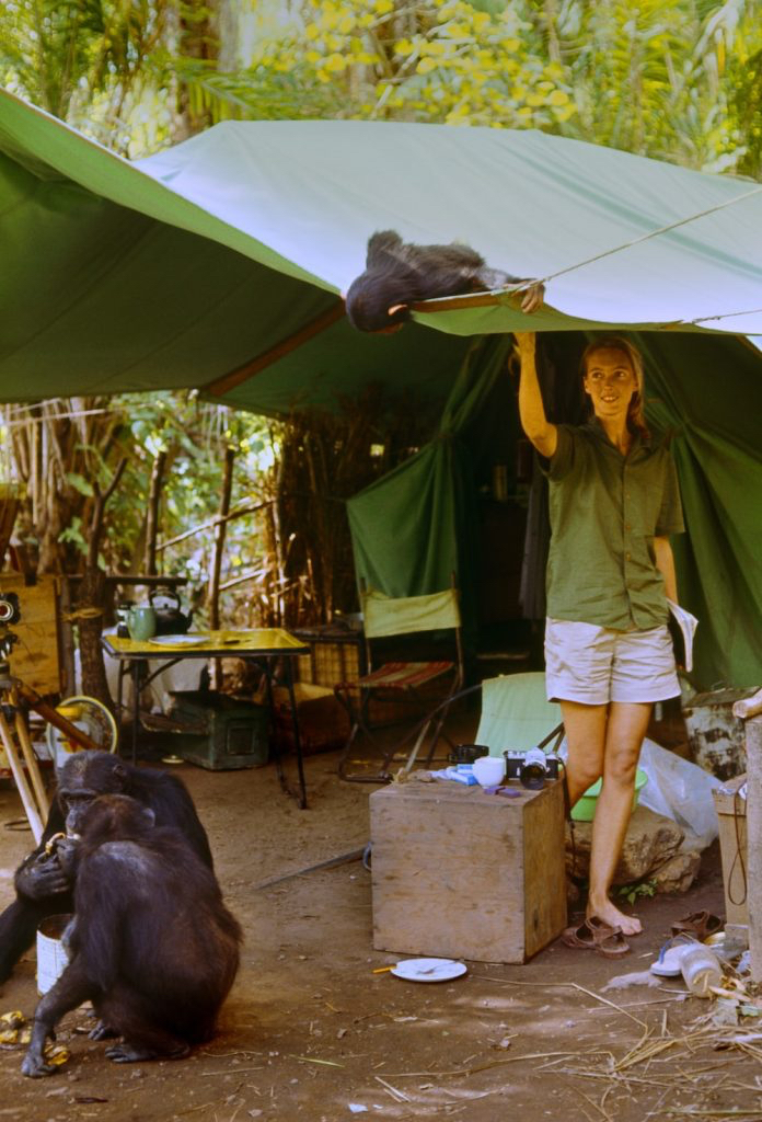 Jane Goodall Feet