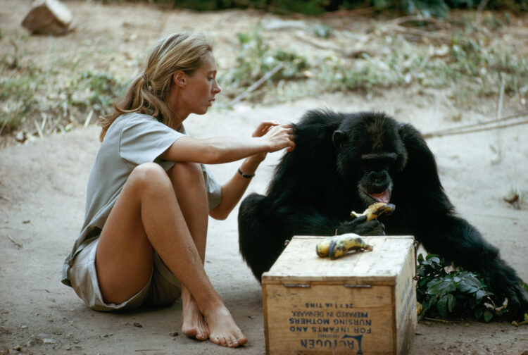 jane goodall feet