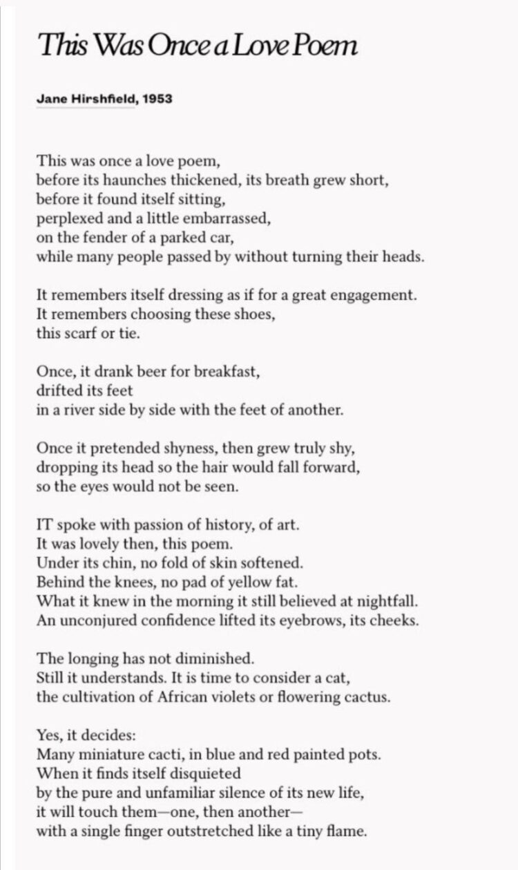 jane hirshfield feet 2