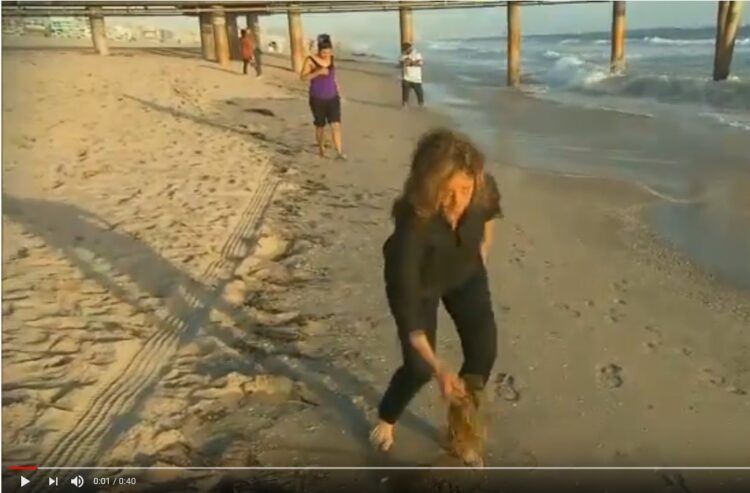 jane velez mitchell feet 4