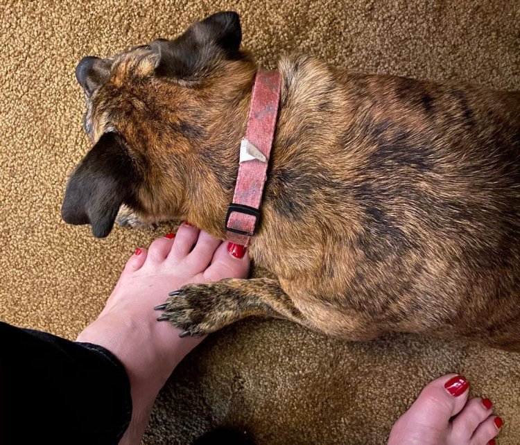 janelle brown feet 3