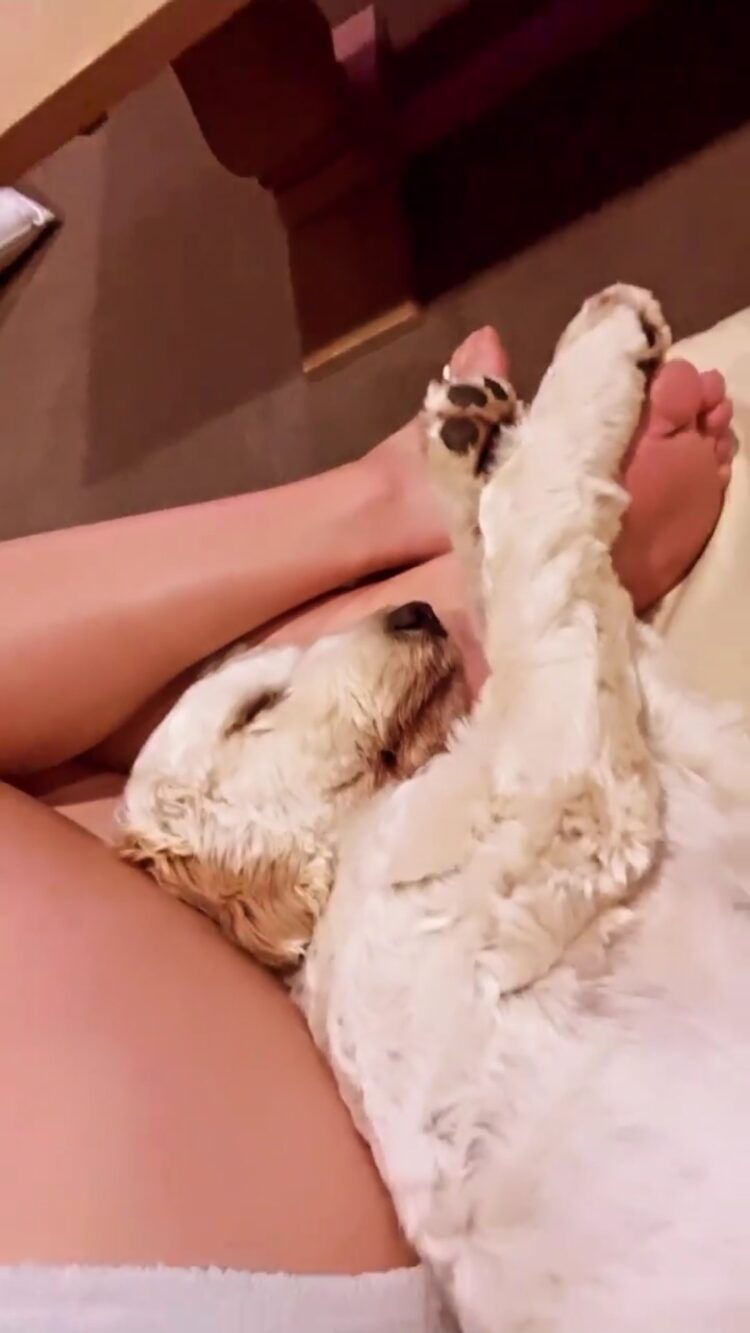 janine foster feet 5