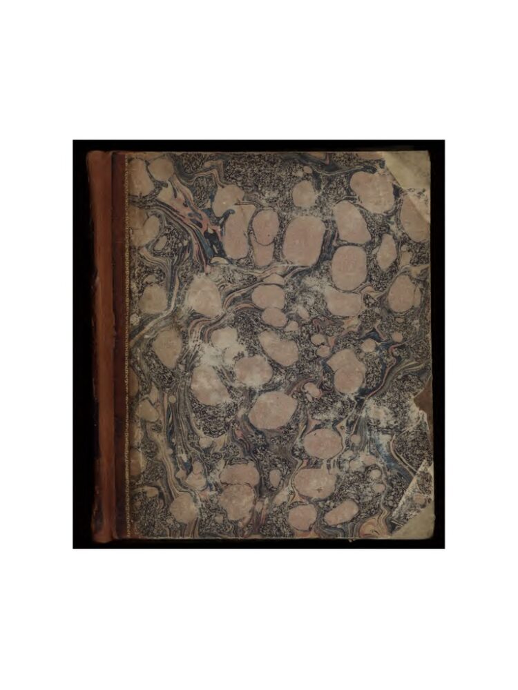 janissa candour feet