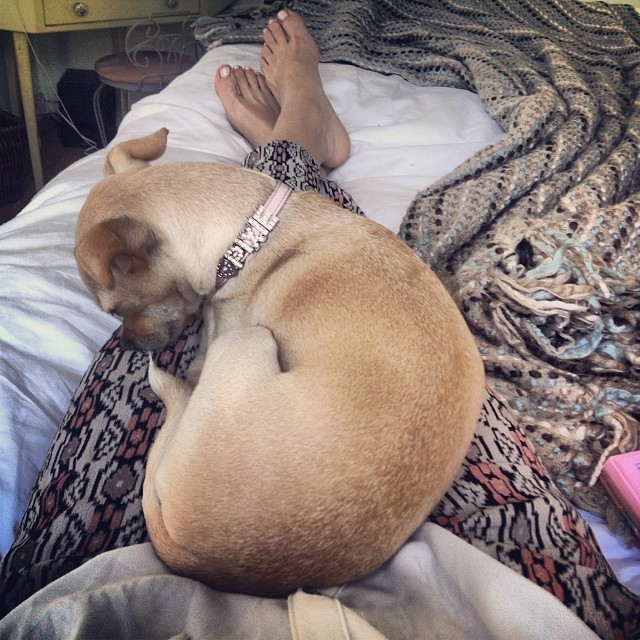 janna vanheertum feet 1