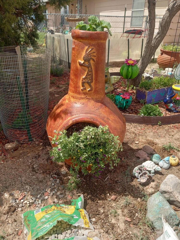 japa chimenes feet 6 scaled