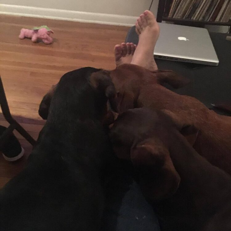 jaqueline romero feet 6