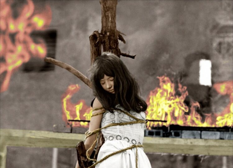 jaroslava schallerova feet 4