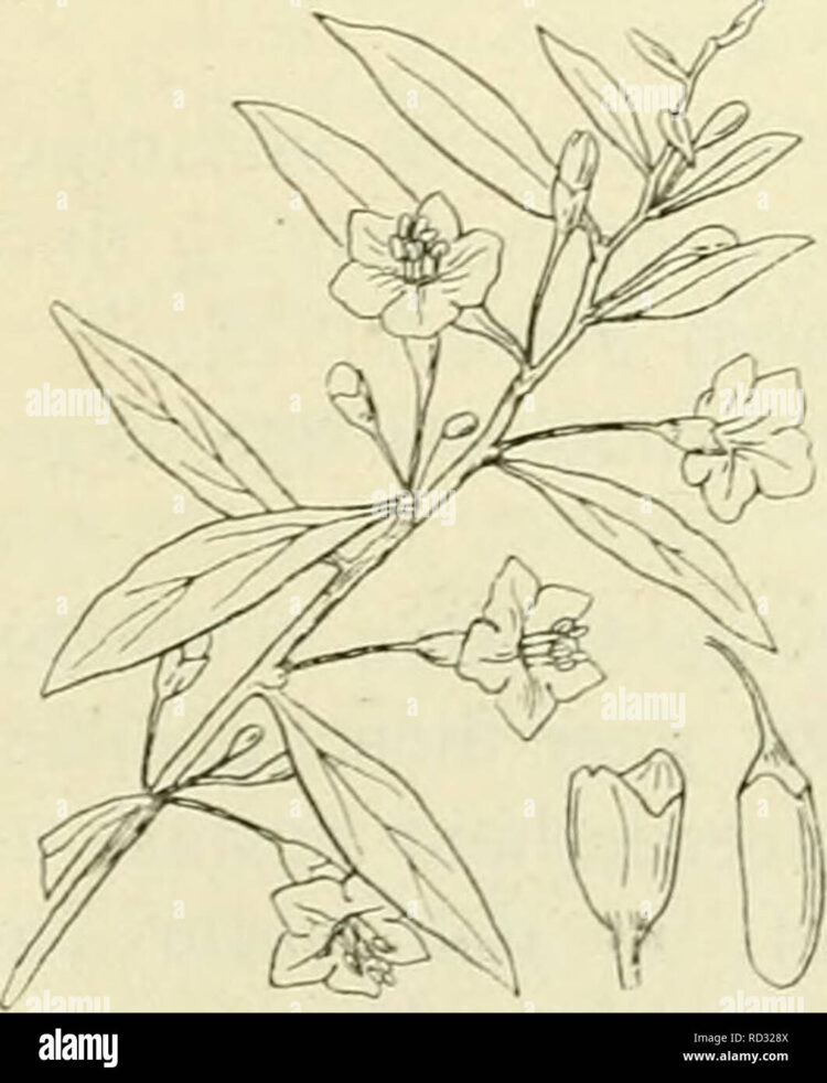 jasmine zelden feet 4