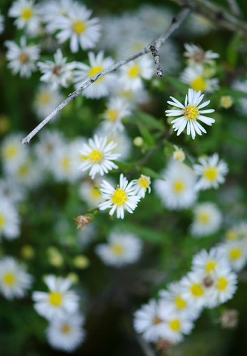 jay dorsainvil feet 2