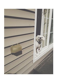 jay dorsainvil feet 4