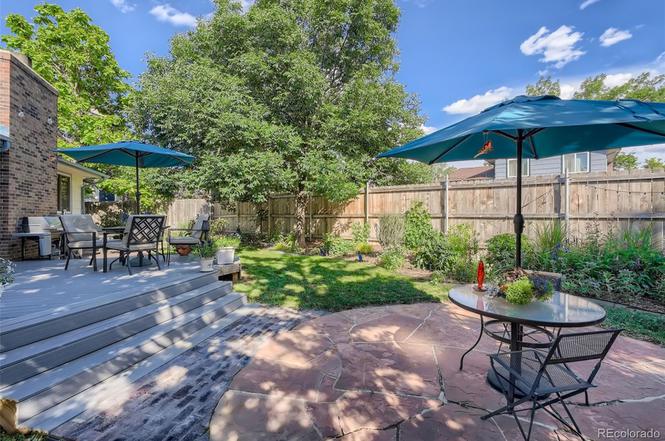 jeanette dzienis feet 5