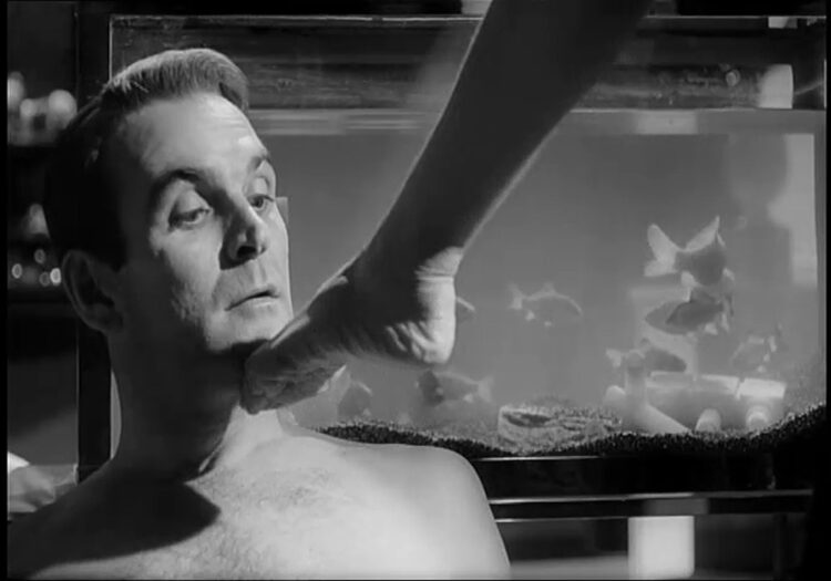 jeanne moreau feet 2