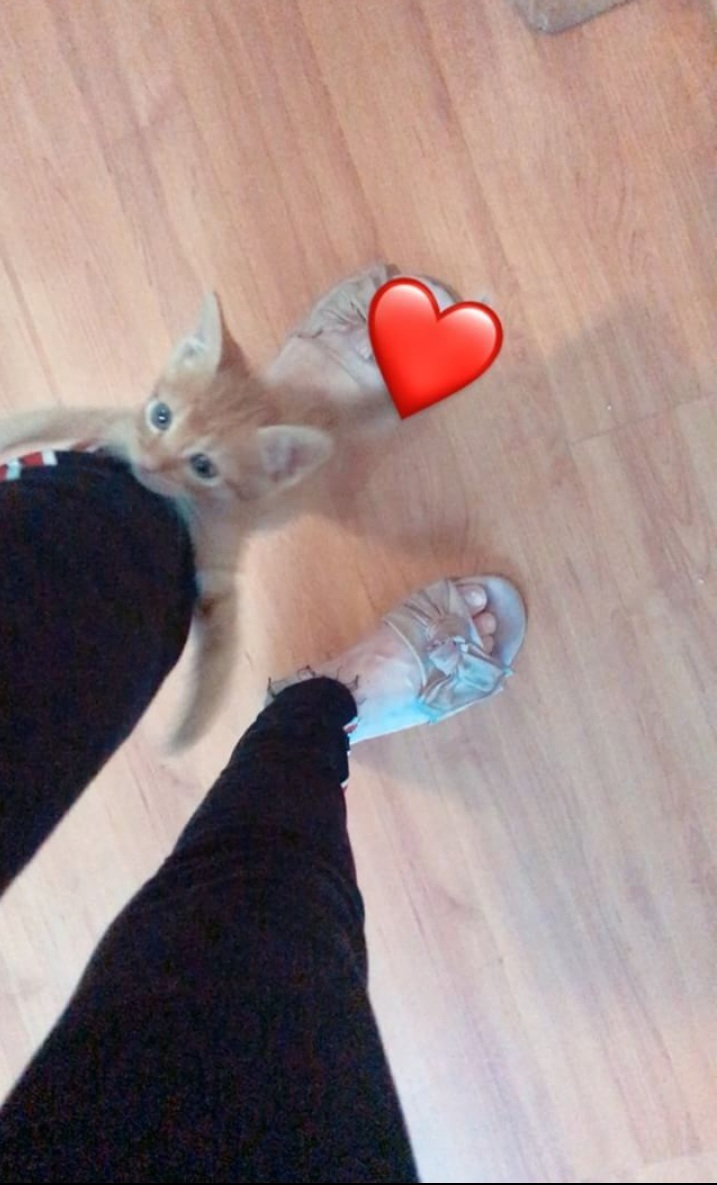 jen de oliveira feet 3