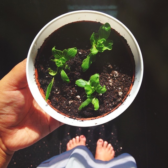 jen phanomrat feet 2