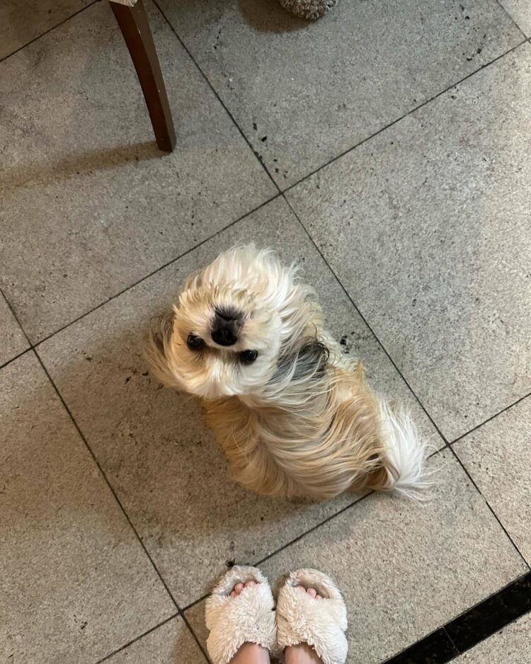 jeniffer oliveira feet 2