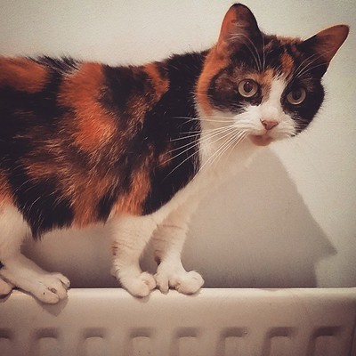 jenna goodwin feet 5