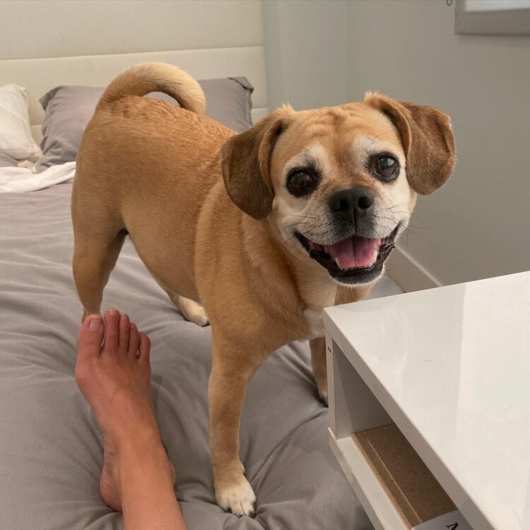 jennifer holland feet 3