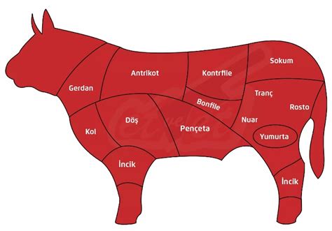 jenny cayon merino feet 5