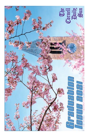 jenny cayon merino feet 6