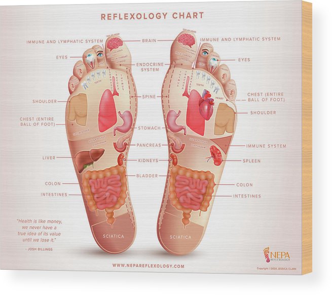 jessica anne wood feet 2