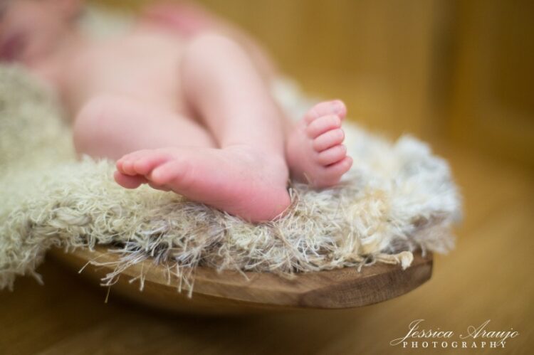 jessica araujo feet 3