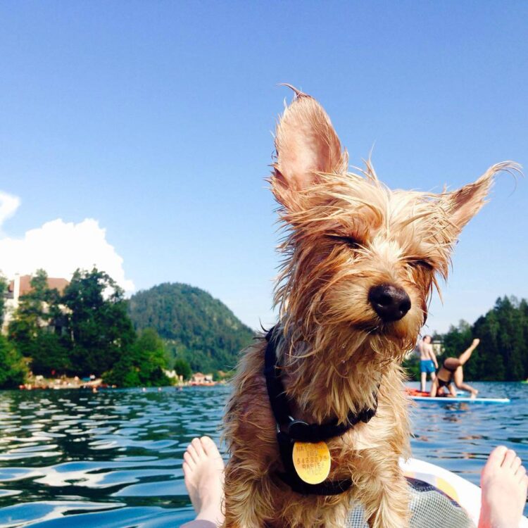 jessica boone feet 5