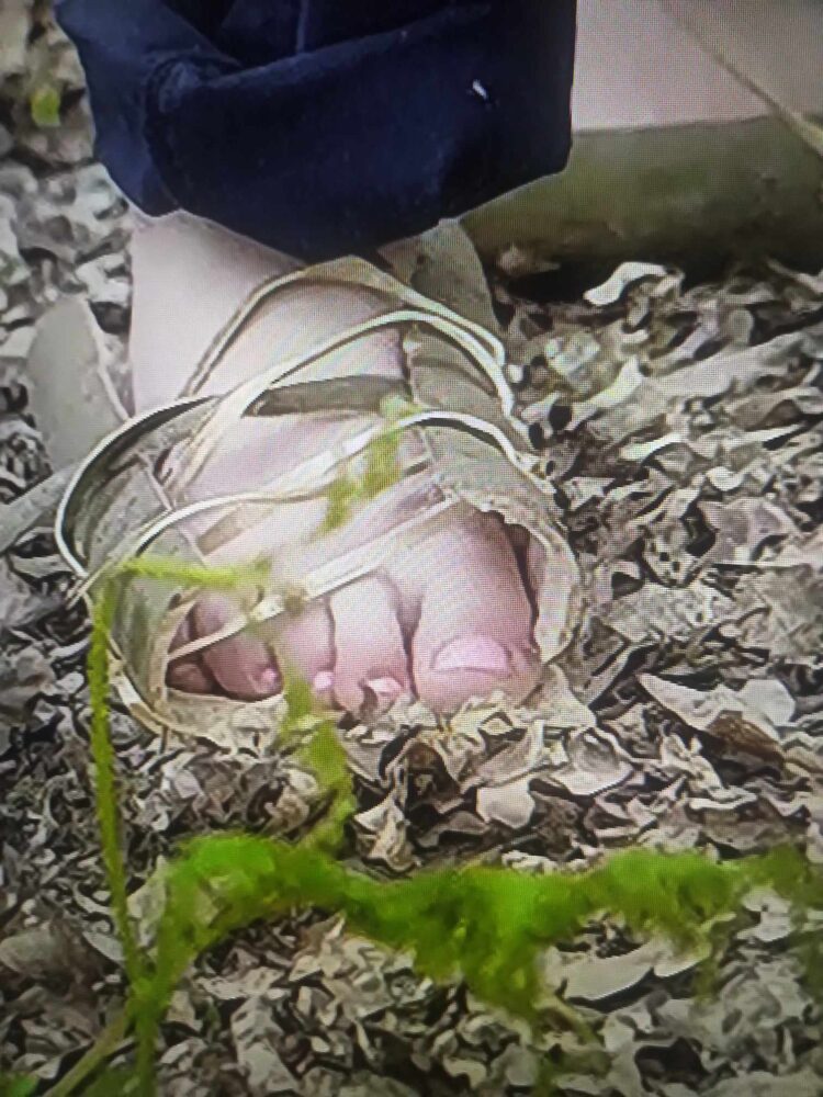 jessica knappett feet 3