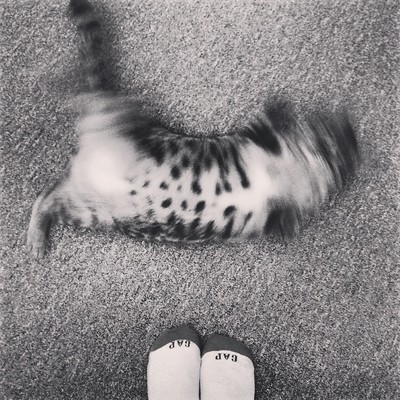 jessica romero feet 4