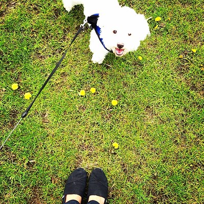 jessica romero feet 6