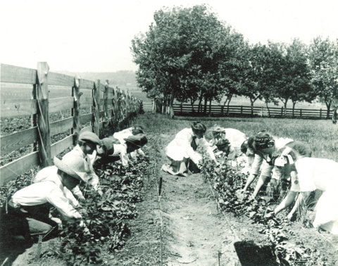 jessie field shambaugh feet 6