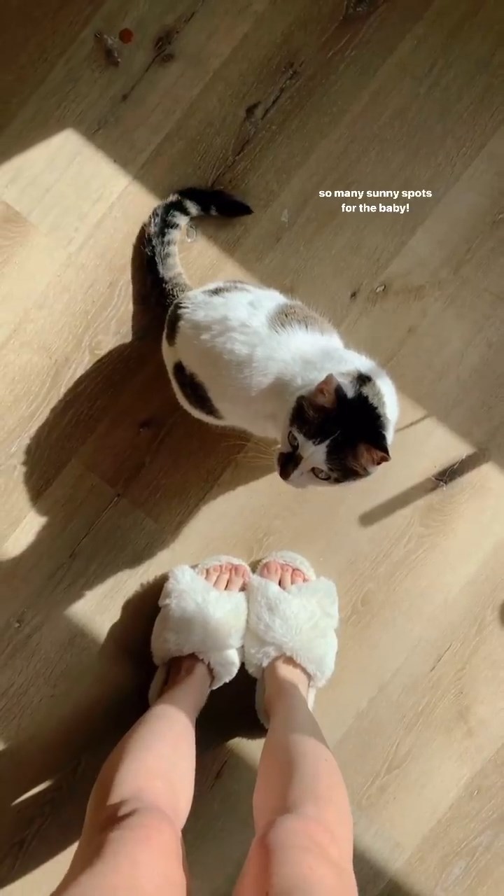 jill cimorelli feet 3