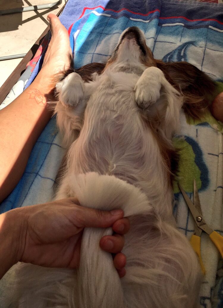 jill michele melean feet 6