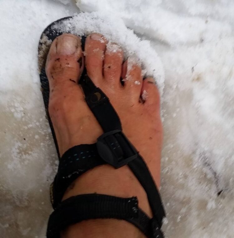 jill sobo feet