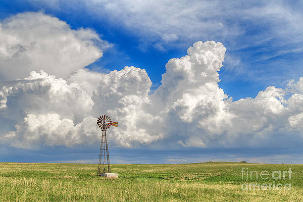 jill van dooren feet 2