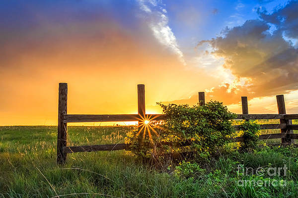 jill van dooren feet 5