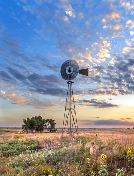 jill van dooren feet