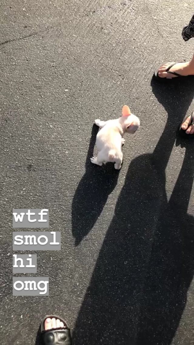 jillian gutowitz feet 3