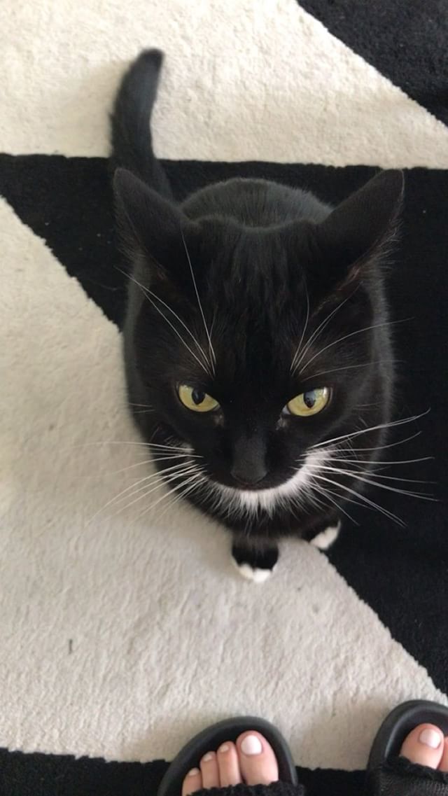 jillian gutowitz feet 5