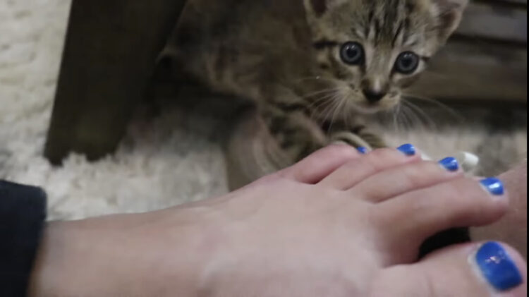 jimenez.vlogs feet 4