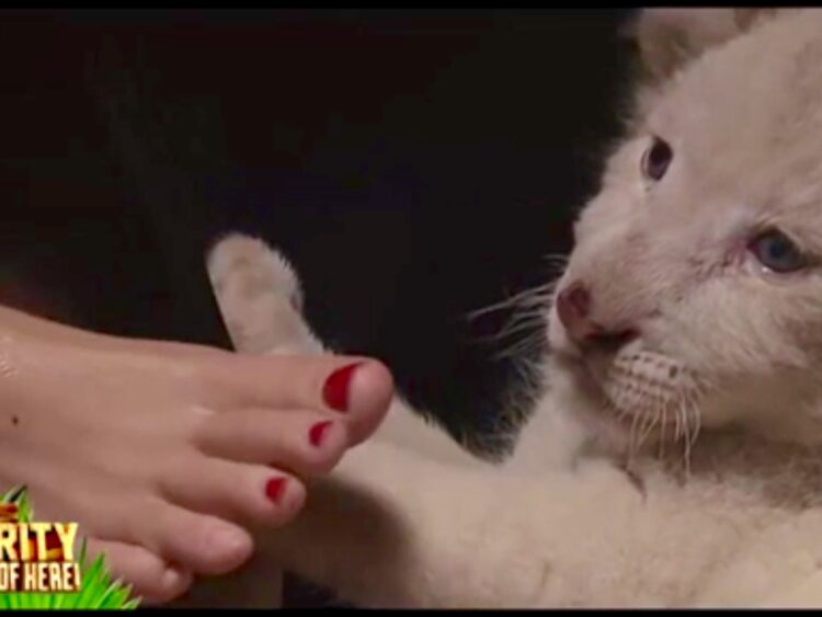 jo beth taylor feet 4