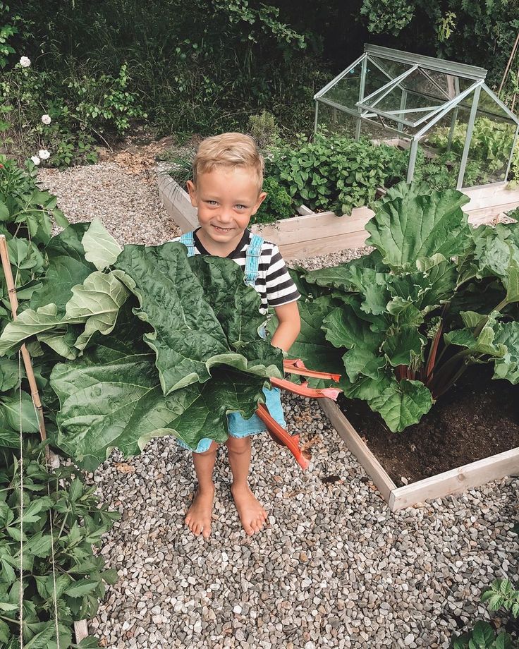 johanna ljungqvist feet 6