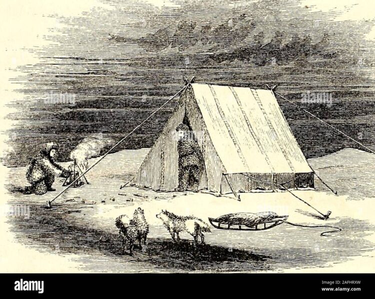 john franklin feet 3