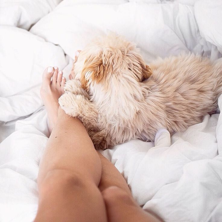 jonlyn elizabeth feet 6