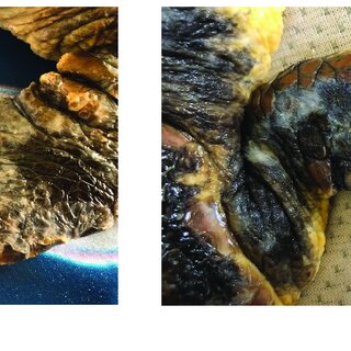 jose luis crespo feet 6