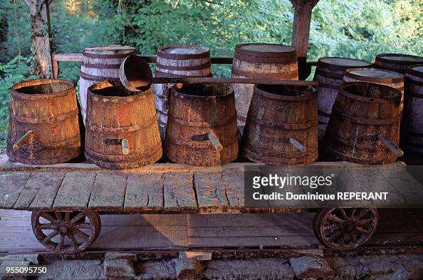 josette vidal feet 2